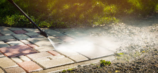 Best Spring Cleaning  in Watervliet, MI
